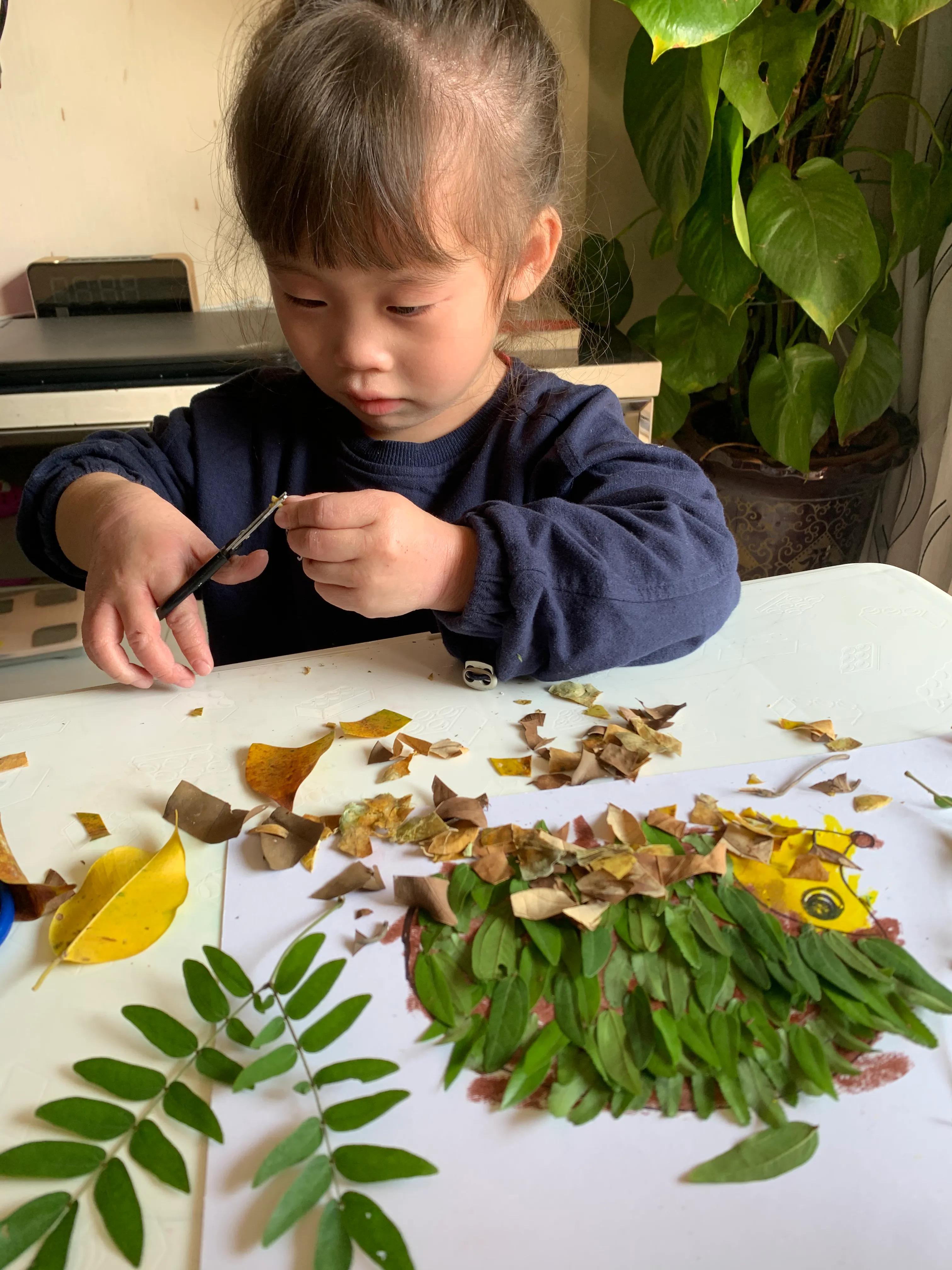 用树叶和花朵做一幅美丽的画,用银杏树叶做一幅简单漂亮的画
