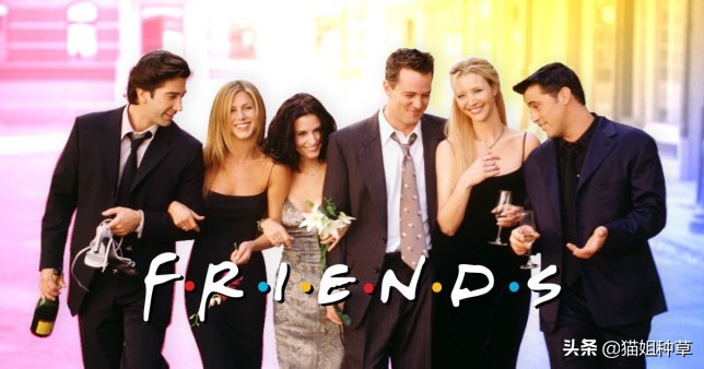 老友记联名版,老友记联名眼影盘