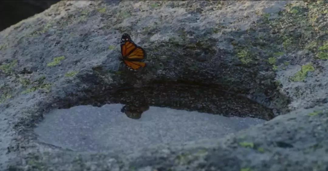 地球的另一端长什么样,地球另一端的意思