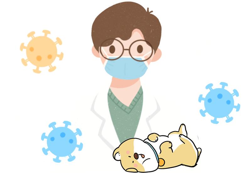 宠物过敏对身体有什么危害,对宠物毛过敏有什么症状