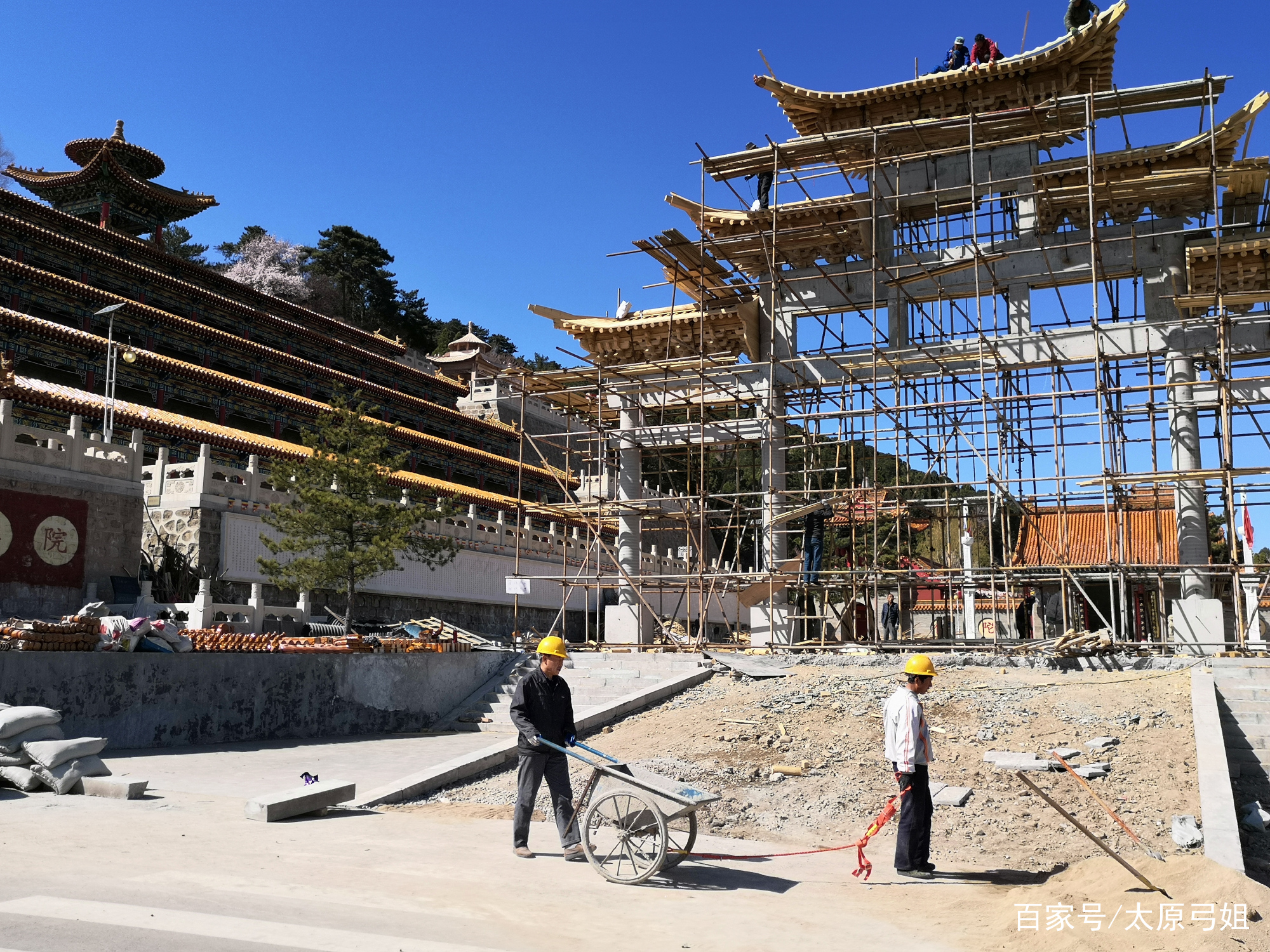 乌金山欢乐谷大马戏和森林公园,乌金山森林公园儿童项目