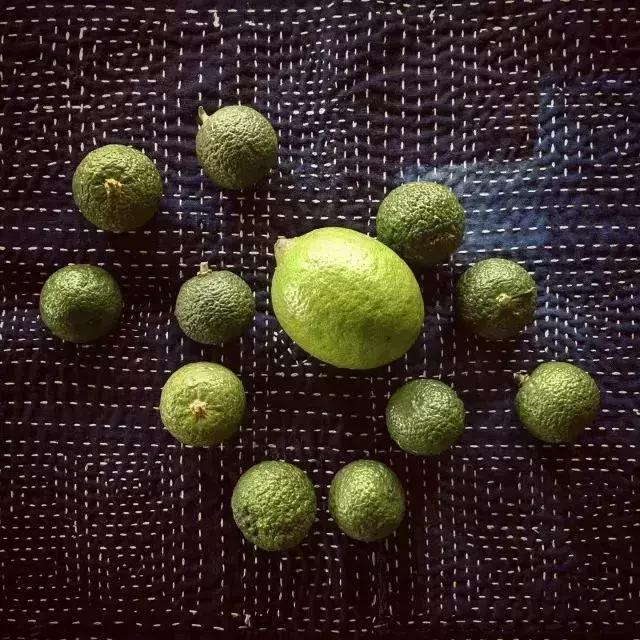 北漂在大理的生活,北漂女子住大理