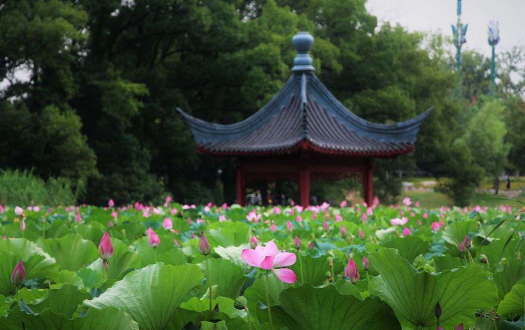 武汉冬季好玩的免费景点,武汉东湖免费景点有哪些