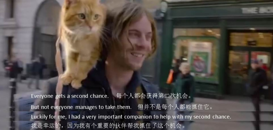 流浪猫鲍勃和主人在街头视频,流浪猫鲍勃和主人击掌