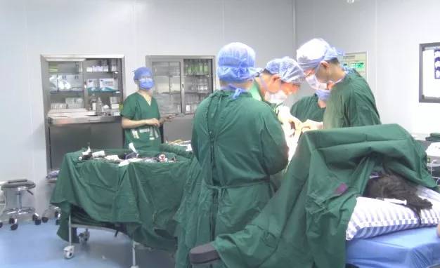 吴鹏程康复医院,吴鹏程金谷康复医院