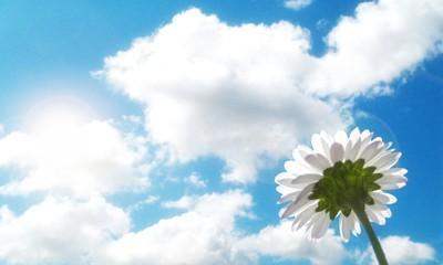 宋词300首经典诗词,一生必背100首经典唐诗宋词朗诵版