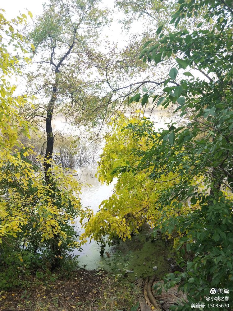 哈尔滨素描俱乐部,哈尔滨素描画室