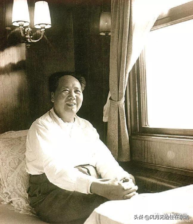 济南秋天的法国梧桐,济南一颗梧桐树