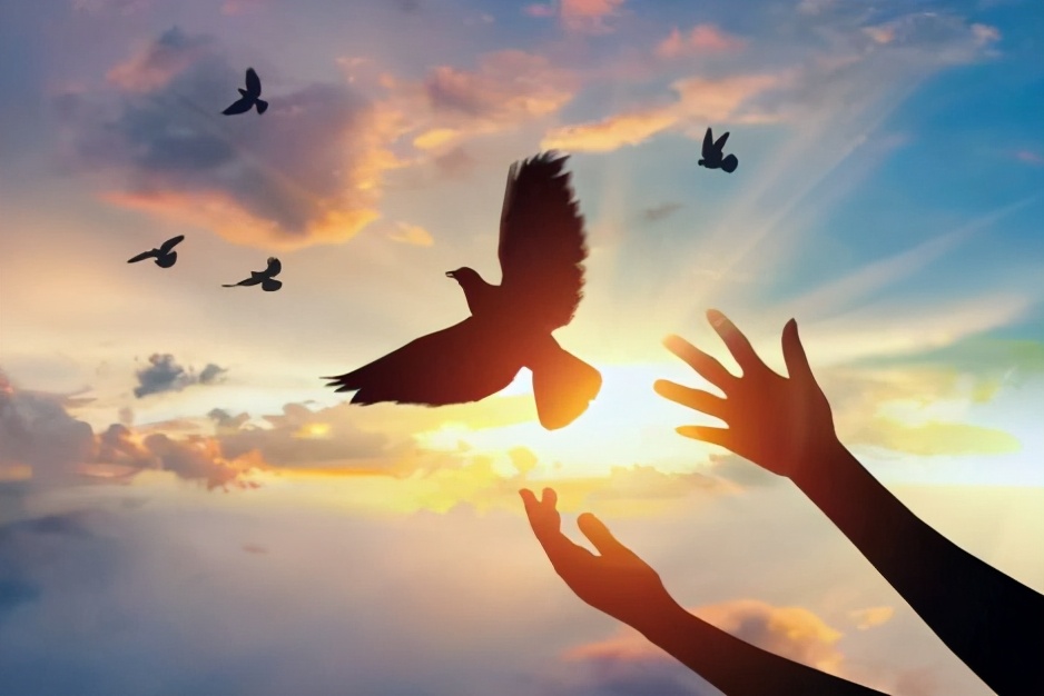 人为什么会被愚弄,人为什么被套路了会特别生气