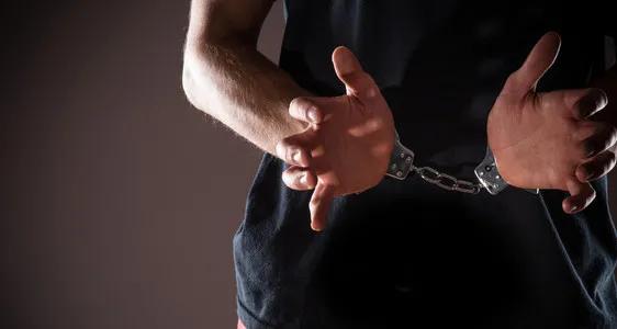 还敢在网上买东西吗,在网上买宠物猫靠谱吗