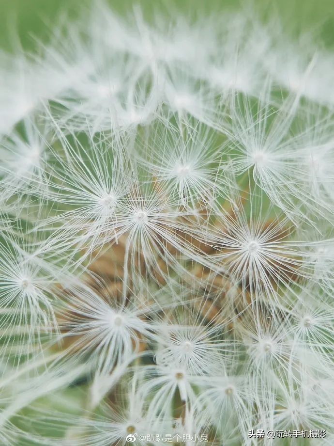 小米手机拍不了横屏照片,小米手机拍不出原有颜色