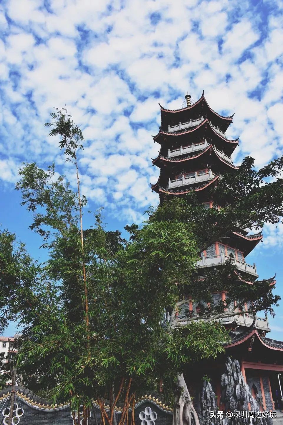 去香港买东西有必要去免税店买吗,去香港有必要逛免税店没