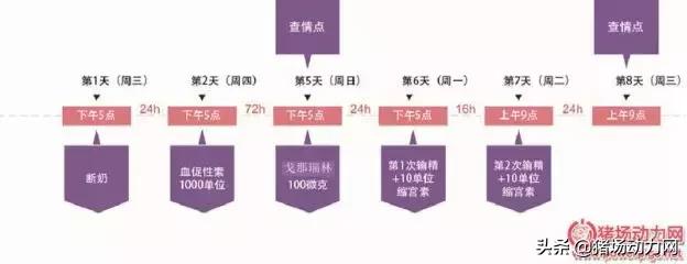 仔猪腹泻母猪如何用药,母猪流行性腹泻生的小猪怎么办