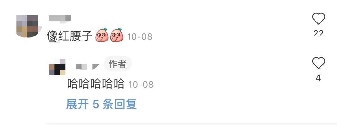 攒钱买波司登 (买大鹅还是买波司登)