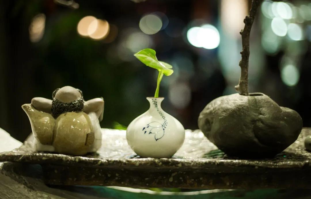 美到极致的淡雅诗句句子,经典微信签名诗句