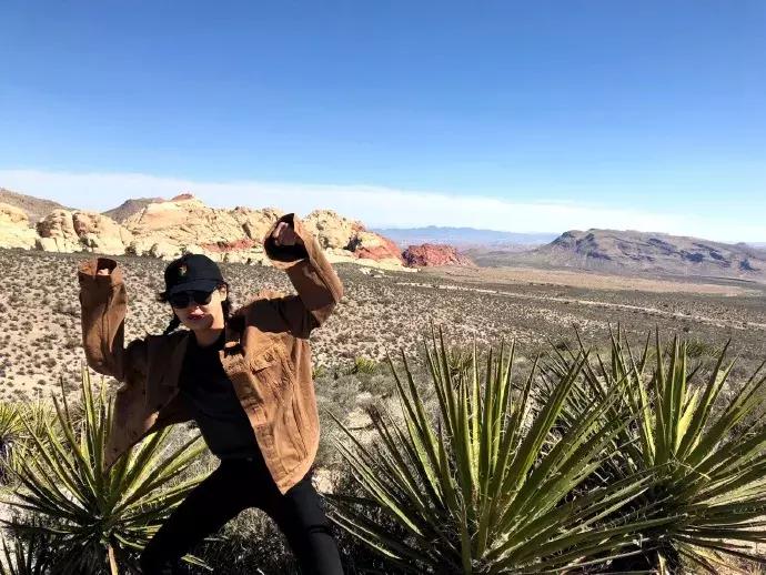 辛芷蕾比较搞笑的剧,辛芷蕾很虐的电视剧