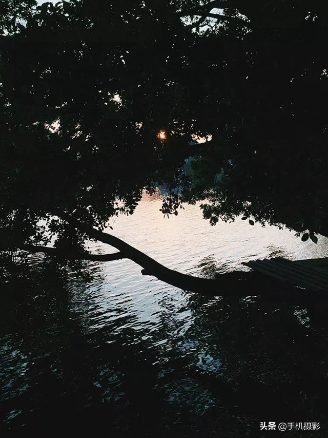 ippa摄影大赛年度总冠军,ippa摄影大赛2014