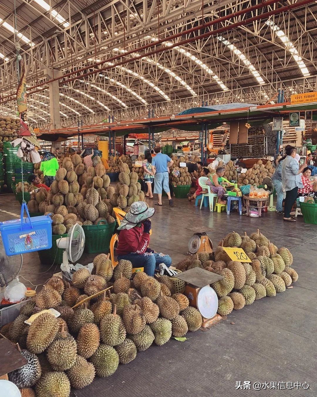 西双版纳水果市场榴莲 (上海亚洲最大的水果批发市场榴莲)