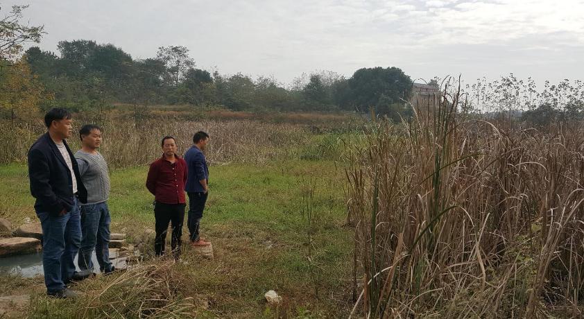 耕地抛荒原因探讨,为什么农民土地荒了