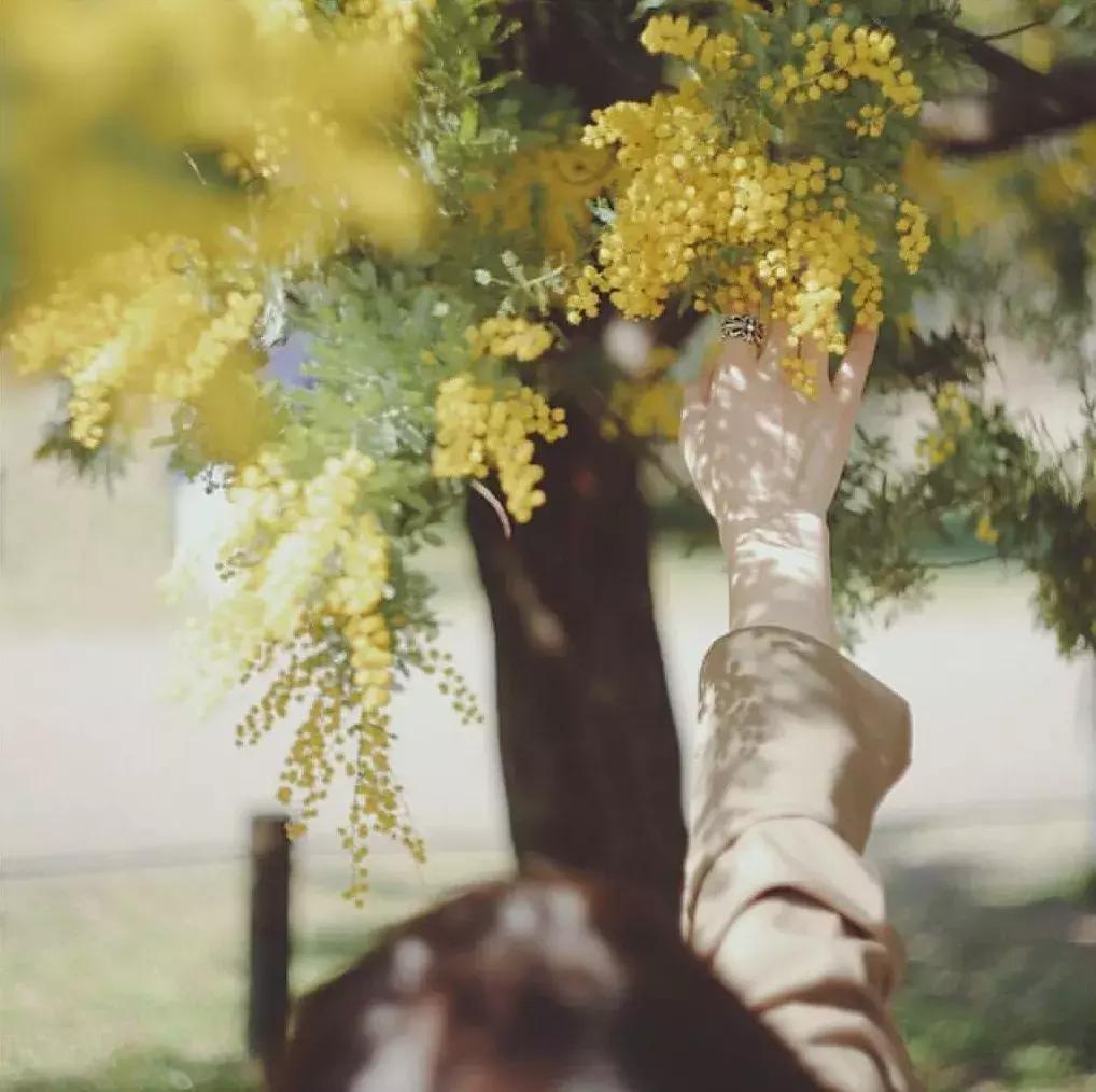 拍照时怎样做到不畏惧镜头,害怕镜头是什么症状