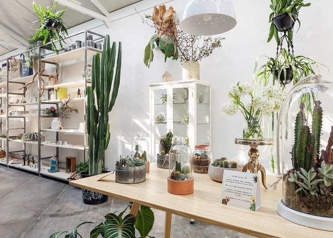 开一家花店需要学什么专业知识,新手开花店全部流程