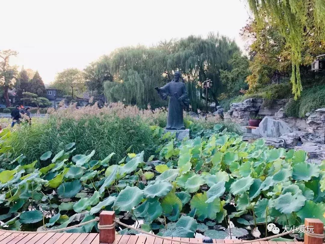 免费公园滑梯,六支沟滑滑梯公园