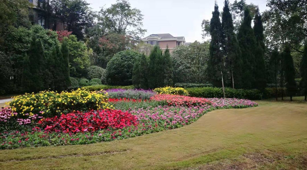 郫县蔚蓝卡地亚云墅,蔚蓝卡地亚云墅发展