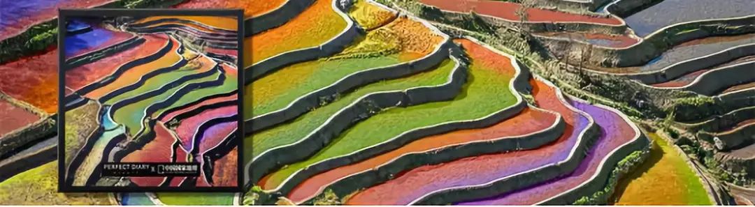 品牌还不懂“跨”学怕是不好过了