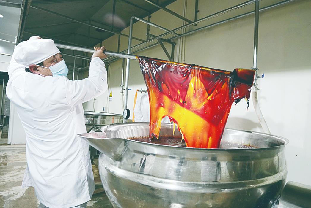 天元区三门镇的驴胶有了合法的“身份”，一块驴皮“出道”的故事