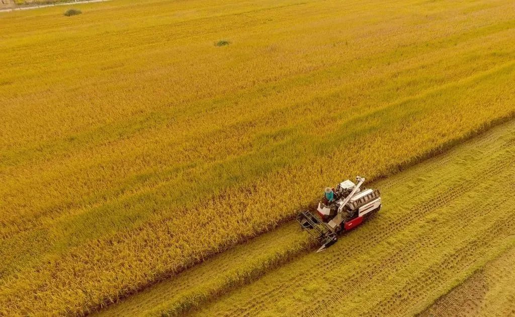 徐州第二中学,徐州全国三个第一