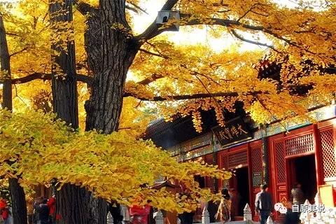 北京怀柔人济庄园游玩好不好,怀柔红叶观赏地有哪些