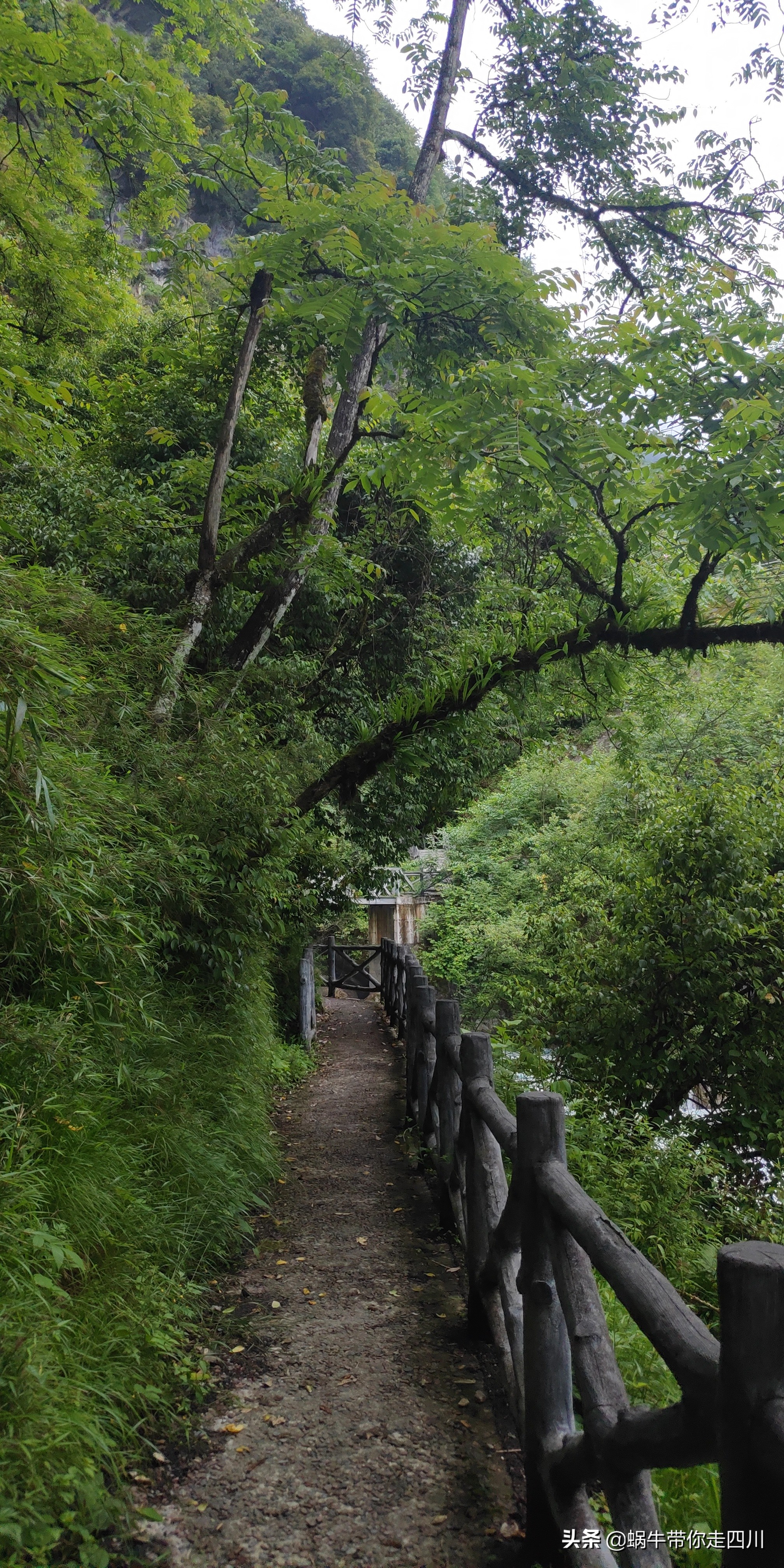成都到西藏旅游一家三口,成都出发三天两夜旅行套票