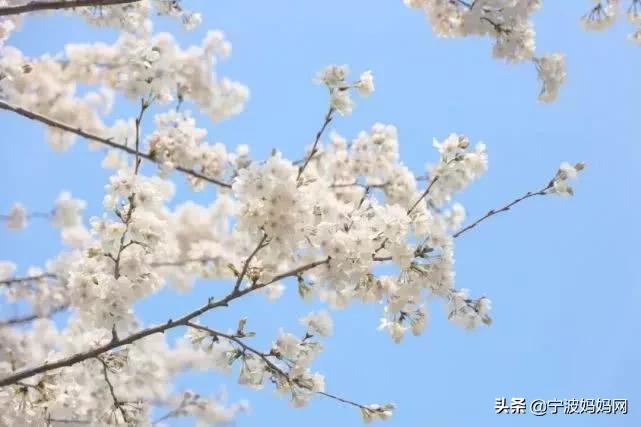 疫情结束后要在广州做的30件事,疫情结束后在武汉做的100件事情