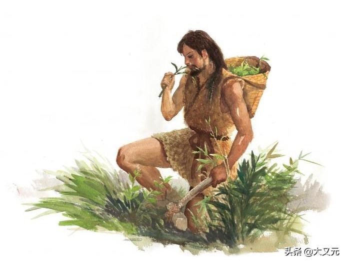 武夷星好茶推荐,匠心独具武夷岩茶