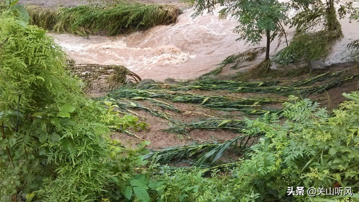 农村老话“端午晒蛤蟆，再热也不怕”啥意思？端午为何要晒蛤蟆？