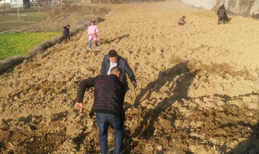 黄桃种植方法和技巧,嫁接黄桃的管理技术