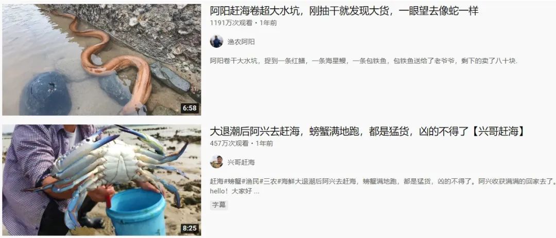 为何年轻人都在沉迷赶海视频,为什么大家都爱看赶海