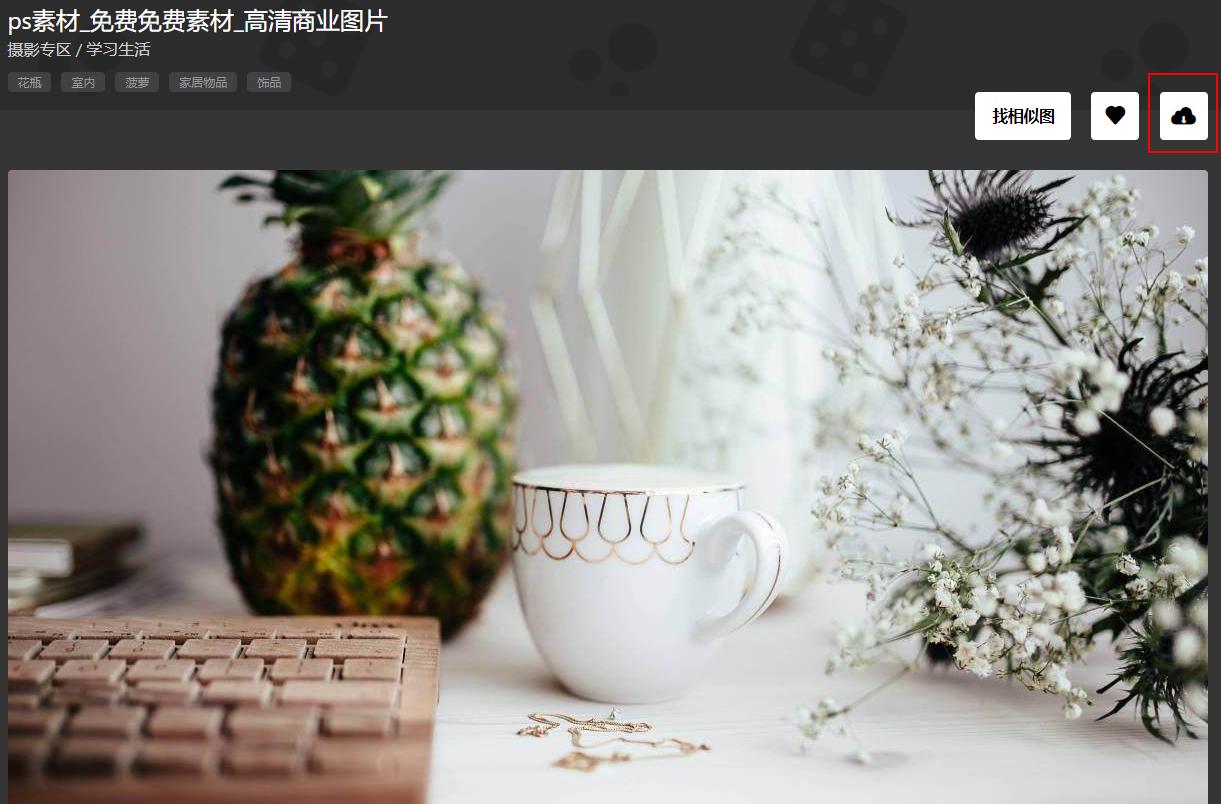 花瓣素材图片ppt,花瓣素材网图片有版权吗