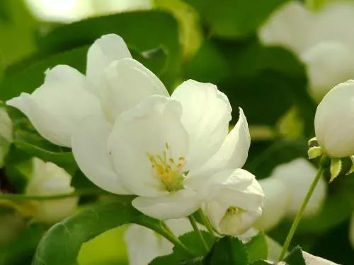 为了开出一张有质量的处方，得背背这个