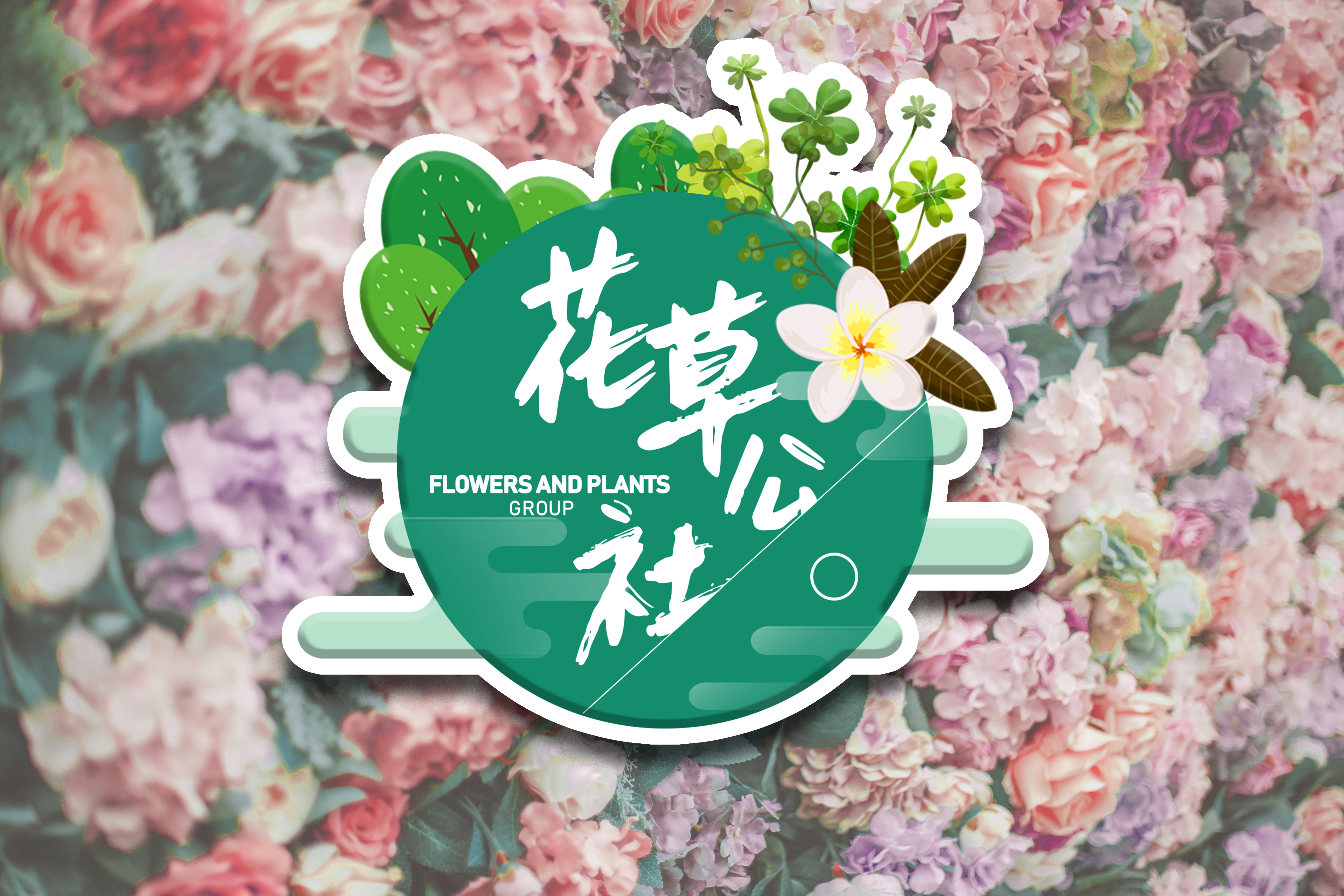 没有阳光能种好月季吗,没有阳光养什么鲜切花