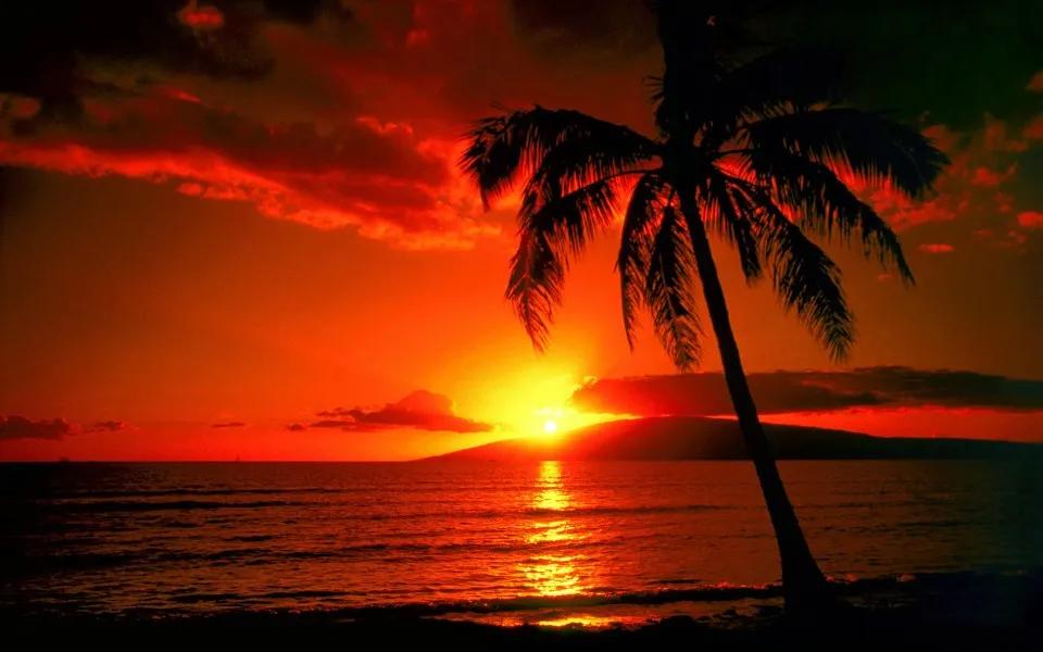 小区房买顶楼的坏处,顶楼和2楼哪个更值得买