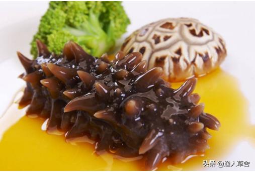 辽宁省大连知名农产品,辽宁省农产品地理标志产品都有啥