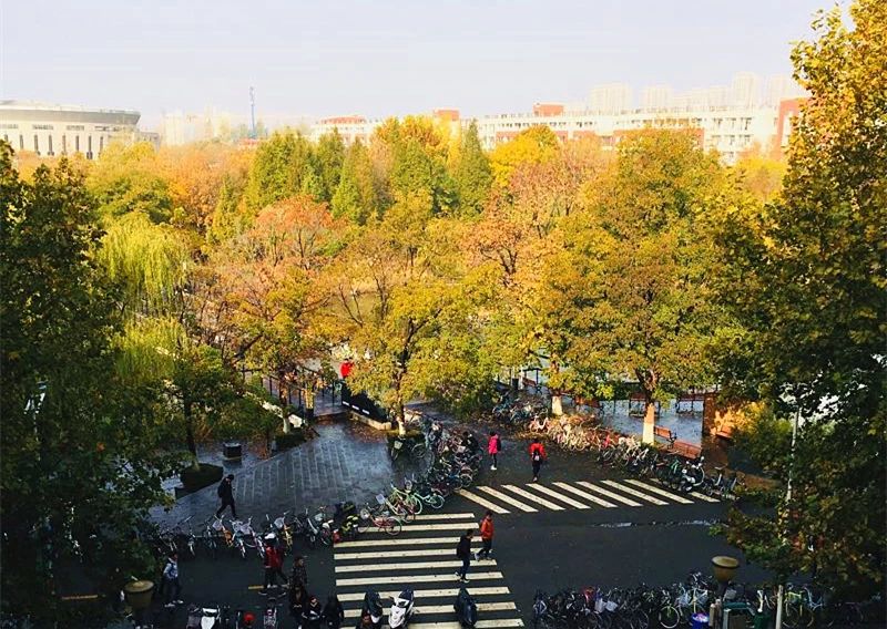 郑州漂亮的秋色风景,郑州的这些湖畔藏着最美的秋色