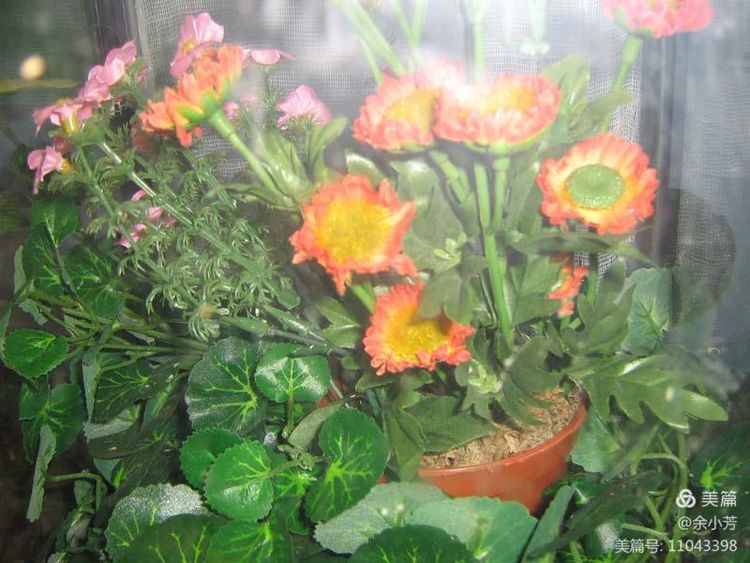 上海野生昆虫馆,上海昆虫馆门票多少