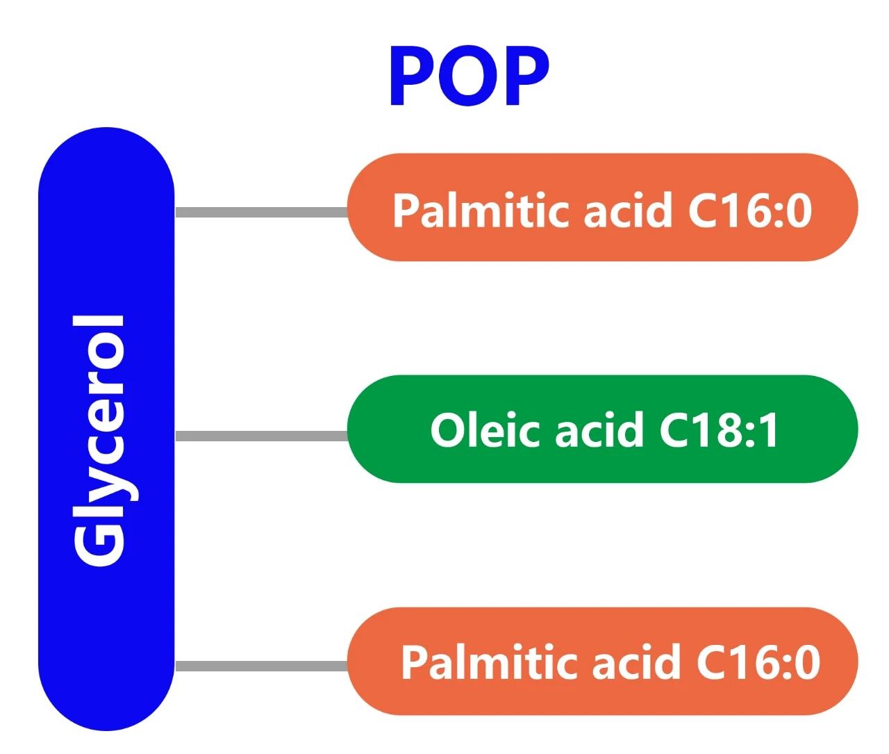 断母乳之前怎么让宝宝适应奶粉,断母乳大人忌什么