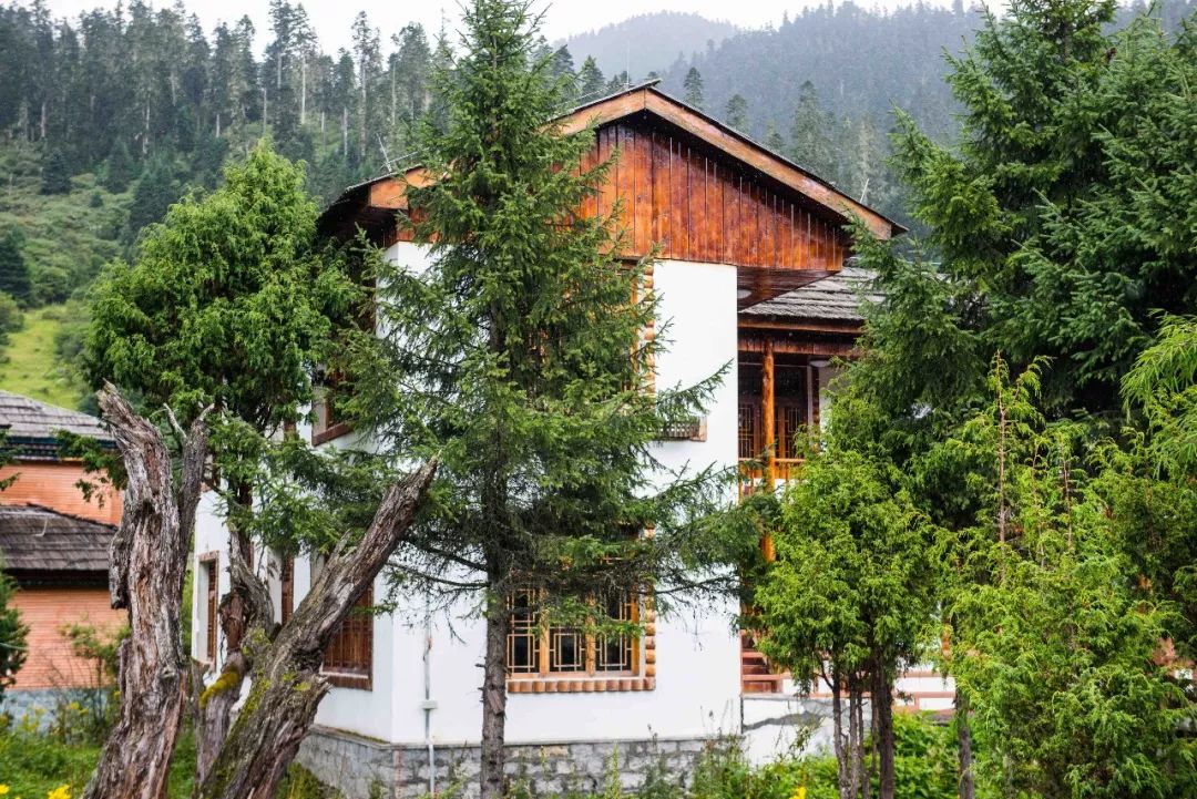 孟非进西藏遇到了什么,孟非西藏最新视频