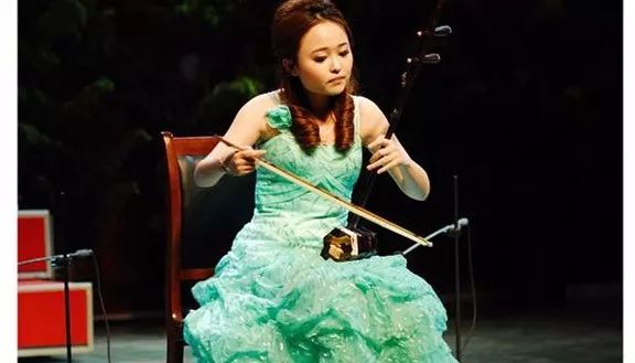 二胡最详细的讲解,二胡的深度解析