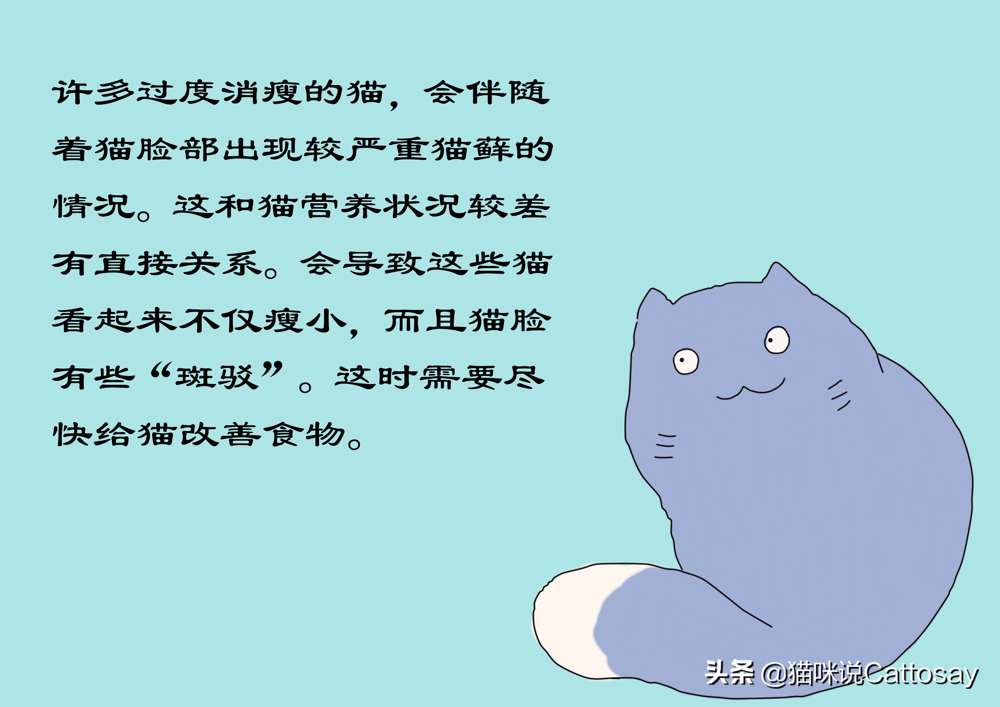 猫过度摄入维生素b会怎样,猫生病后怎么通过饮食给他补营养