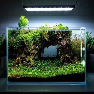 关于过滤的知识,过滤的方法和注意事项