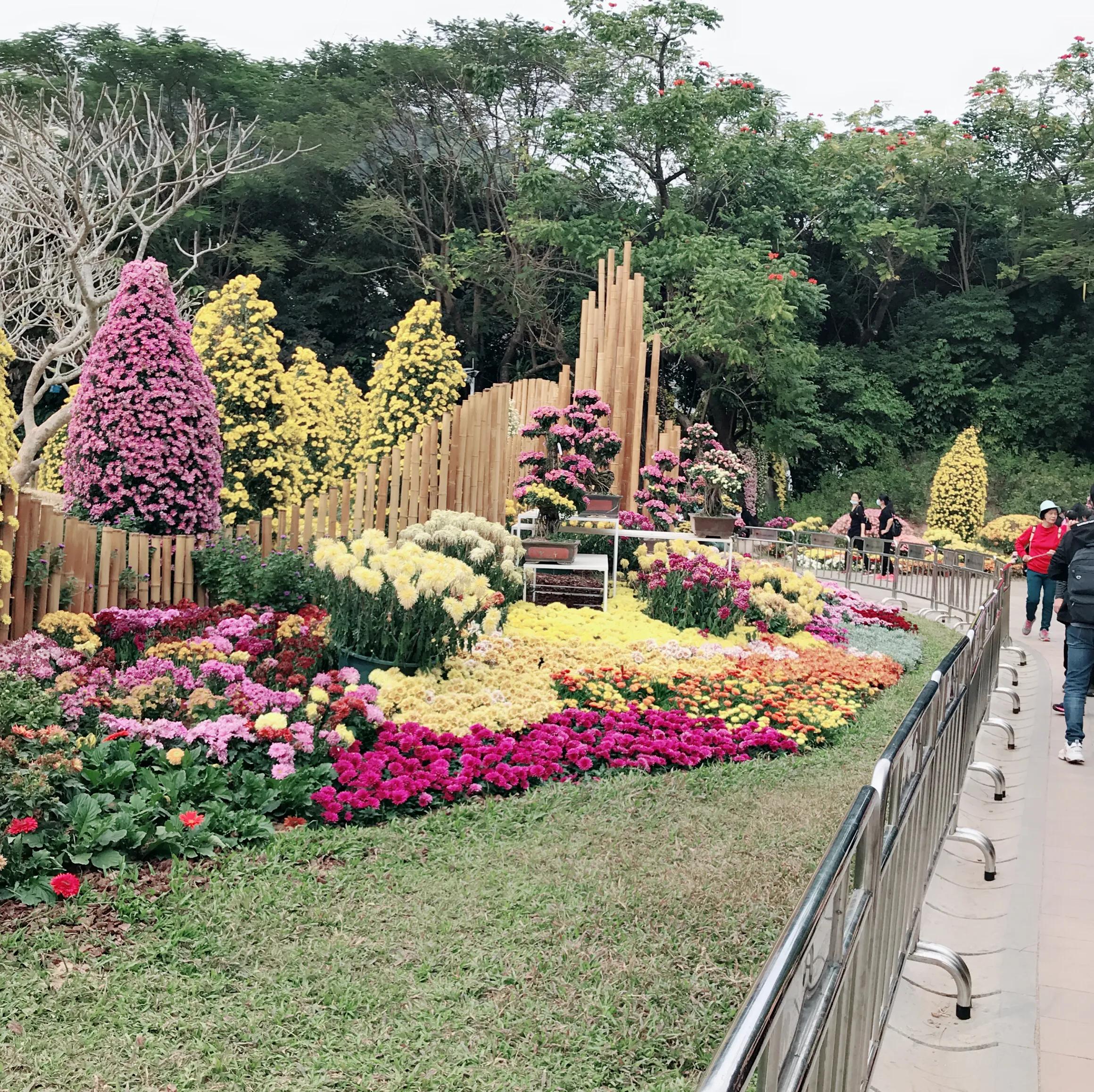 閬涘▋濂藉幓澶勮強鑺卞睍,娣卞湷閬涘▋鐪嬪睍